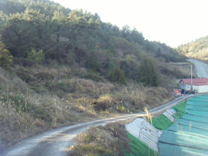 2024타경55481 법원경매 사진25 | 전남 해남군 답 경매