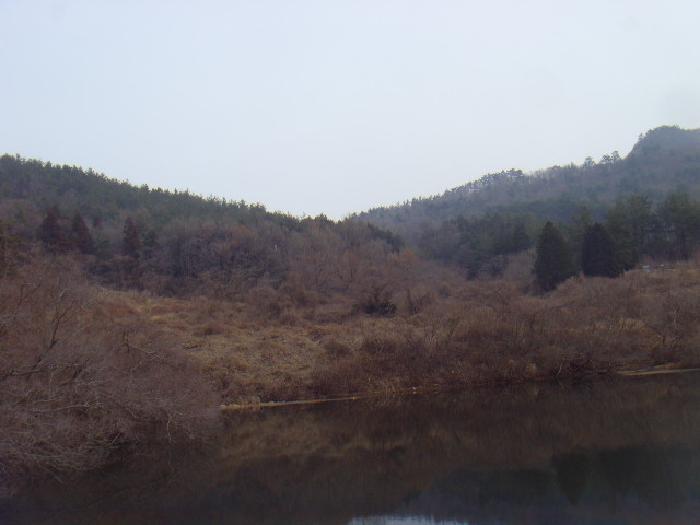 2025타경587 법원경매 사진2 | 전남 해남군 임야 경매