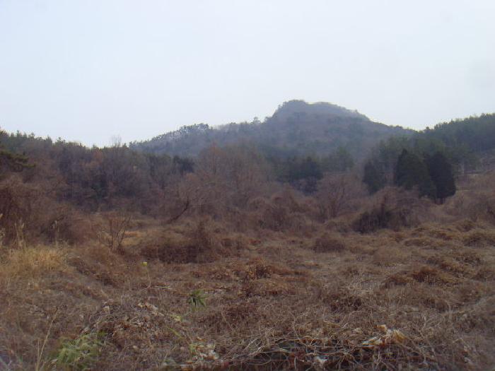 2025타경587 법원경매 사진3 | 전남 해남군 임야 경매