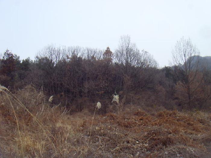 2025타경587 법원경매 사진4 | 전남 해남군 임야 경매