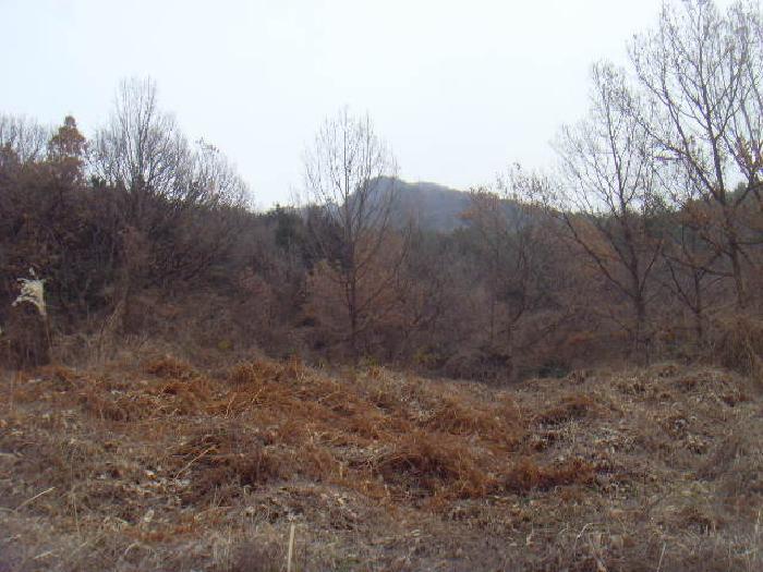 2025타경587 법원경매 사진5 | 전남 해남군 임야 경매