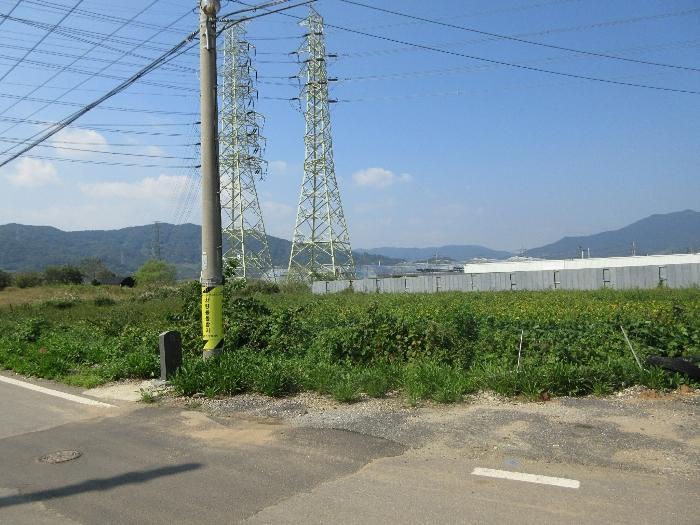 2024타경4244 법원경매 사진2 | 전남 보성군 전답 경매