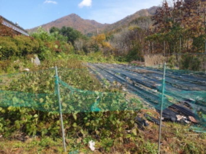 법원경매 2024타경84912 사진5 | 남양주시 수동면 입석리 697-3 전 경매