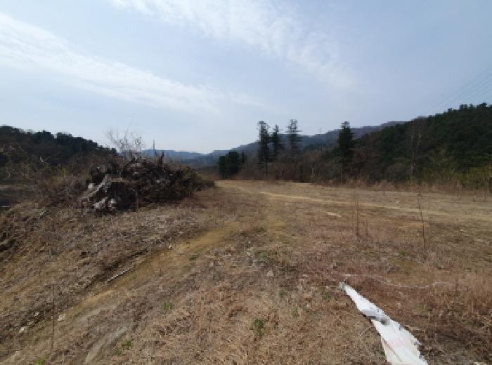 법원경매 2025타경71494 사진8 | 남양주시 수동면 내방리 임야 경매