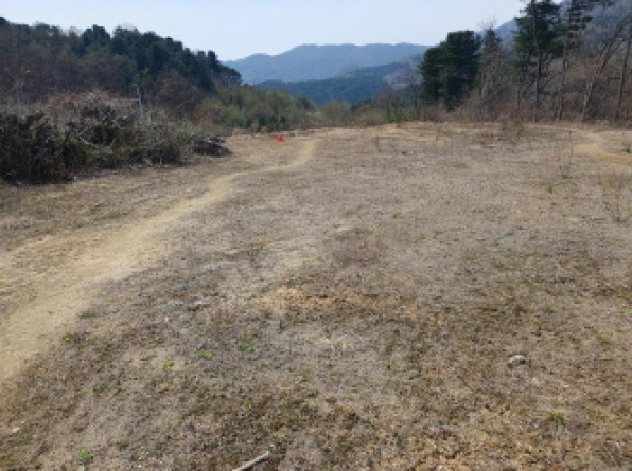 법원경매 2025타경71494 사진9 | 남양주시 수동면 내방리 임야 경매