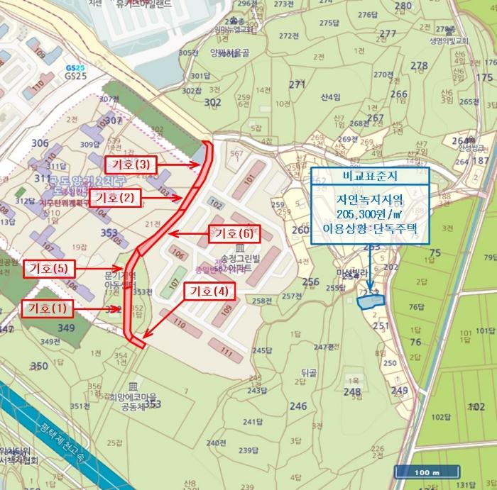 법원경매 2024타경47624 사진20 | 안성시 공도읍 도로 경매