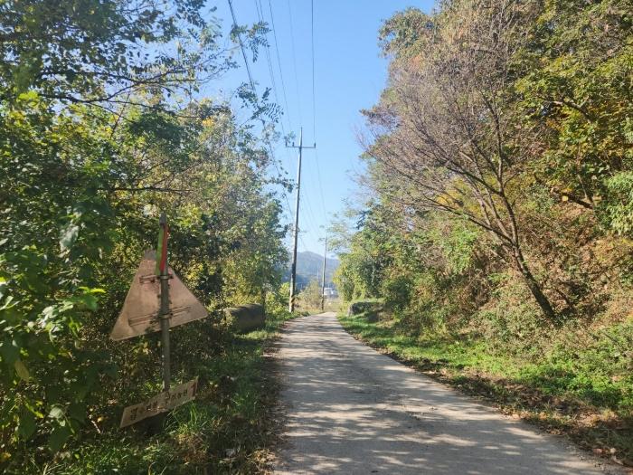법원경매 2024타경53551 사진3 | 안성시 금광면 사흥리 임야 경매