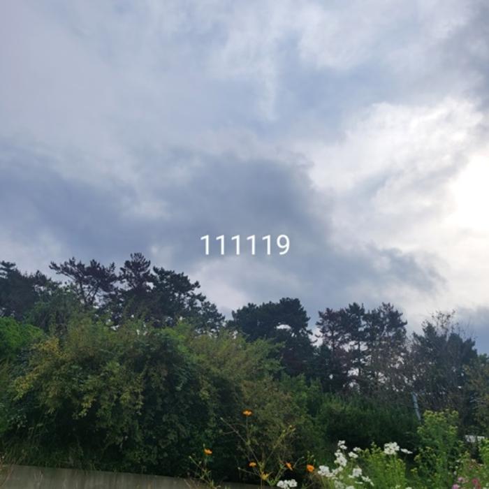 법원경매 2024타경111119 사진5 | 부산 기장군 기장읍 석산리 임야 경매