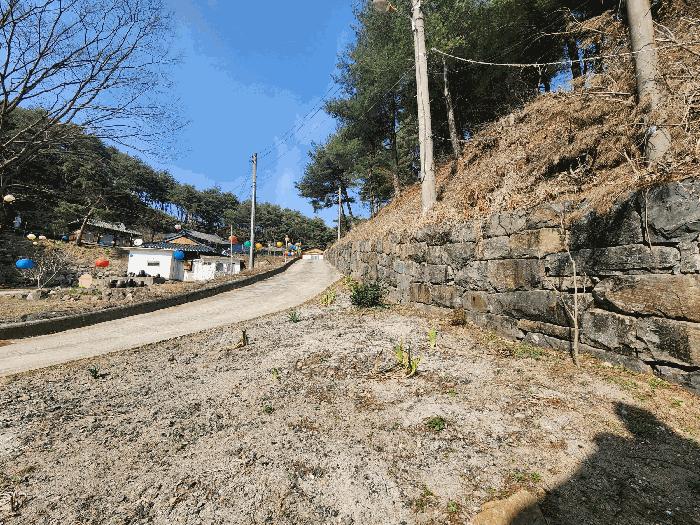 2025타경15576 법원경매 사진3 | 충남 예산군 대지,임야,전답 경매
