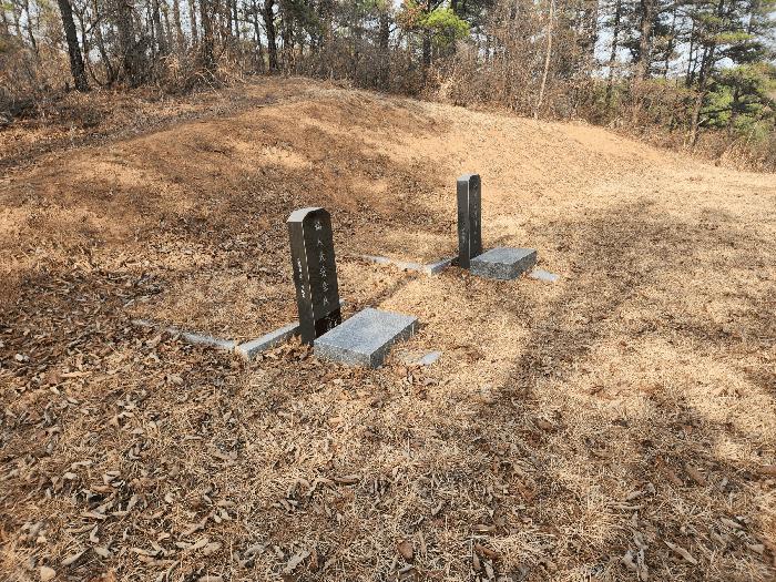 2025타경15576 법원경매 사진6 | 충남 예산군 대지,임야,전답 경매