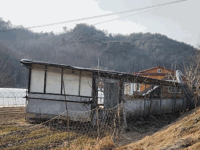 2025타경15576 법원경매 사진9 | 충남 예산군 대지,임야,전답 경매