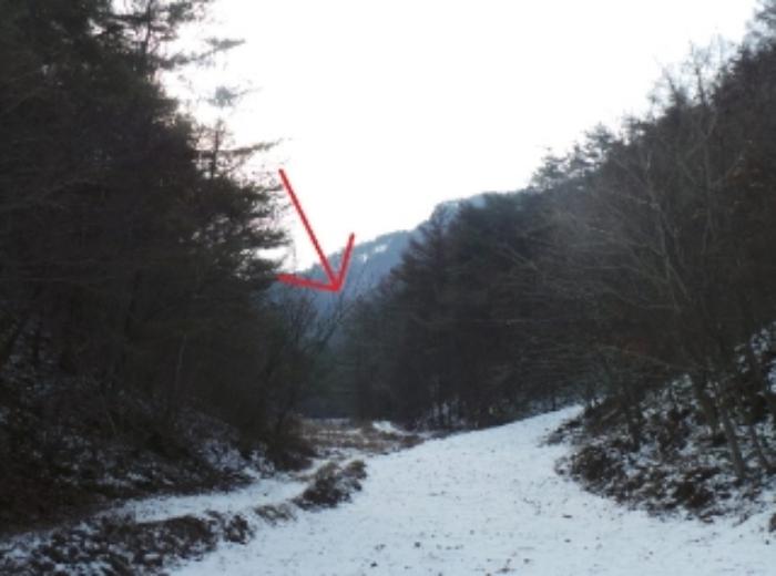 강원특별자치도 정선군 정선읍 애산리 산193 법원경매 물건 대표사진