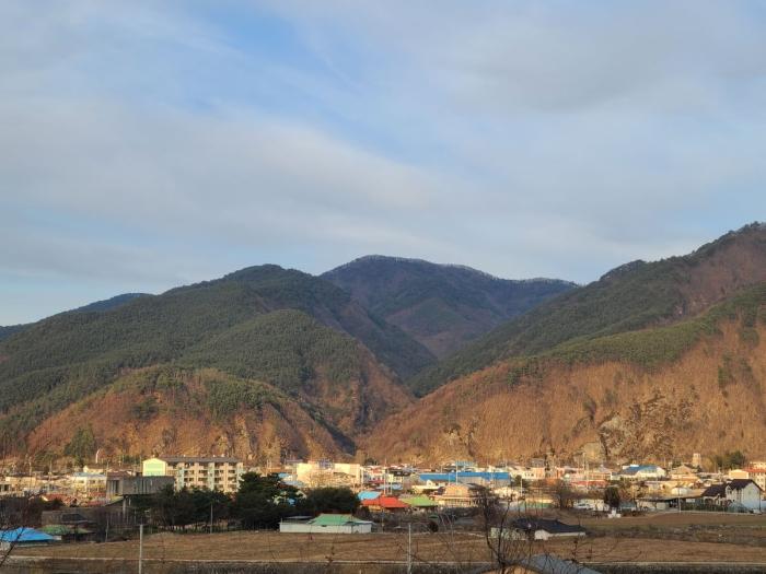 강원특별자치도 정선군 여량면 유천리 산172 법원경매 물건 대표사진