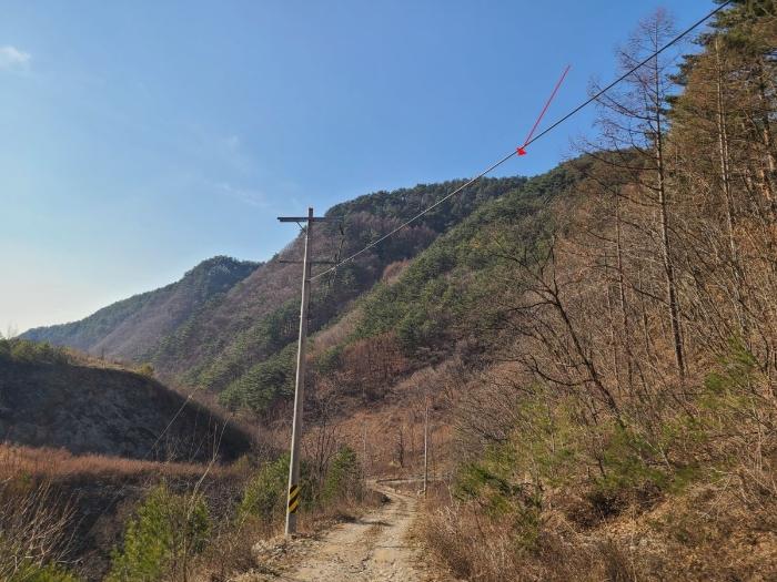 법원경매 2024타경33328 사진2 | 정선군 여량면 유천리 임야 경매