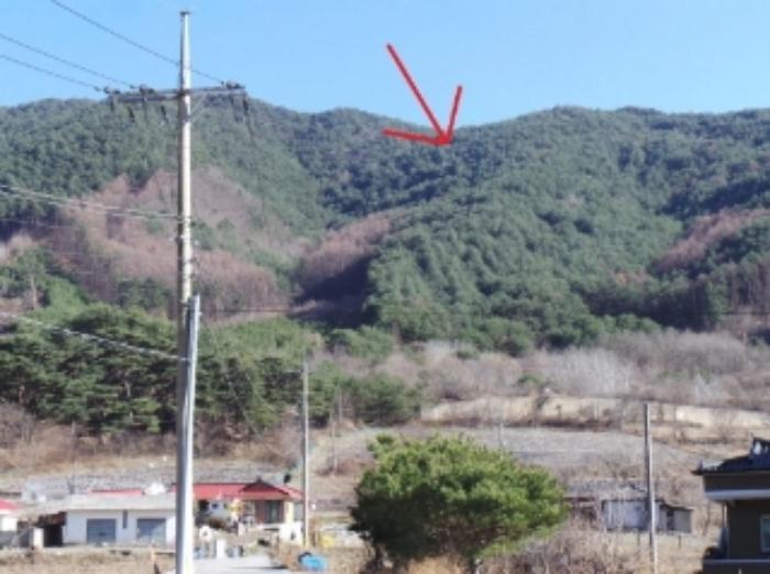 법원경매 2024타경33328 사진3 | 정선군 여량면 유천리 임야 경매