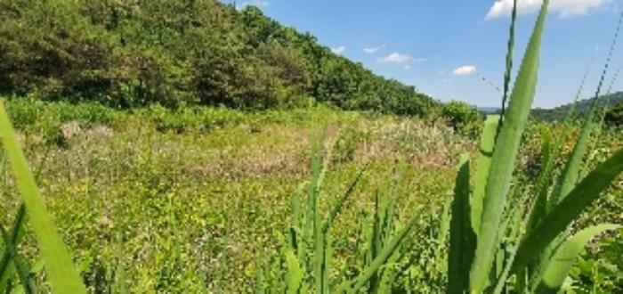2022타경502 법원경매 사진12 | 충북 옥천군 답 경매