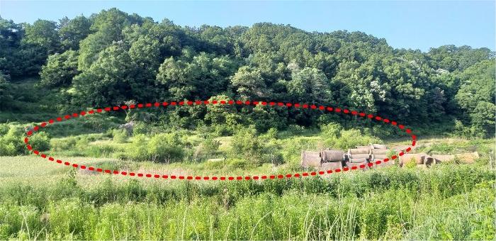 2022타경502 법원경매 사진8 | 충북 옥천군 답 경매