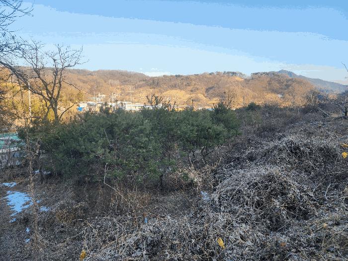 2025타경39 법원경매 사진7 | 충북 영동군 대지 경매