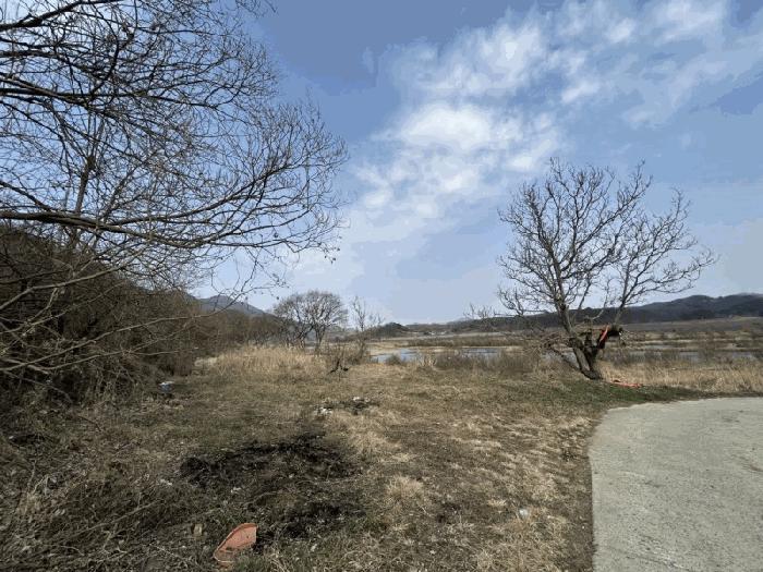 법원경매 2025타경10114 사진2 | 영동군 심천면 고당리 1043-3 전 경매