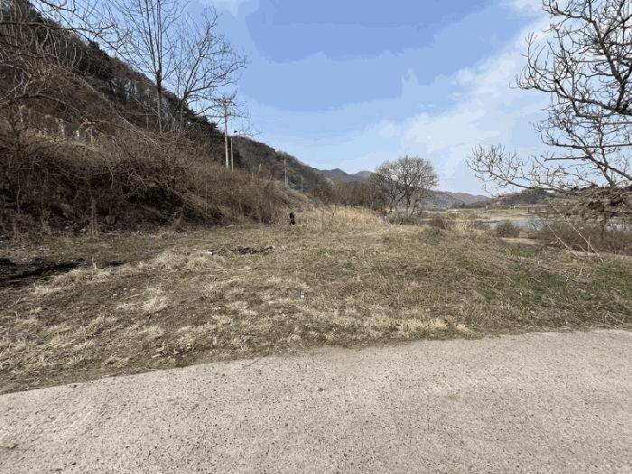 법원경매 2025타경10114 사진3 | 영동군 심천면 고당리 1043-3 전 경매