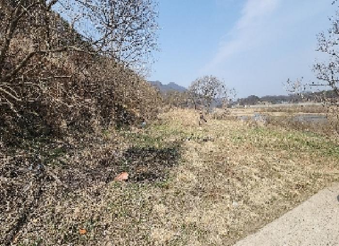 법원경매 2025타경10114 사진5 | 영동군 심천면 고당리 1043-3 전 경매