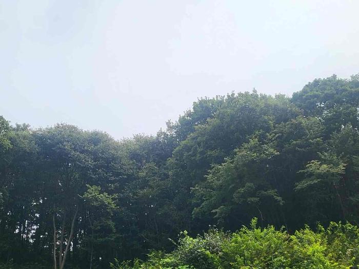 법원경매 2024타경4594 사진32 | 양평군 용문면 연수리 88-10 대지 경매