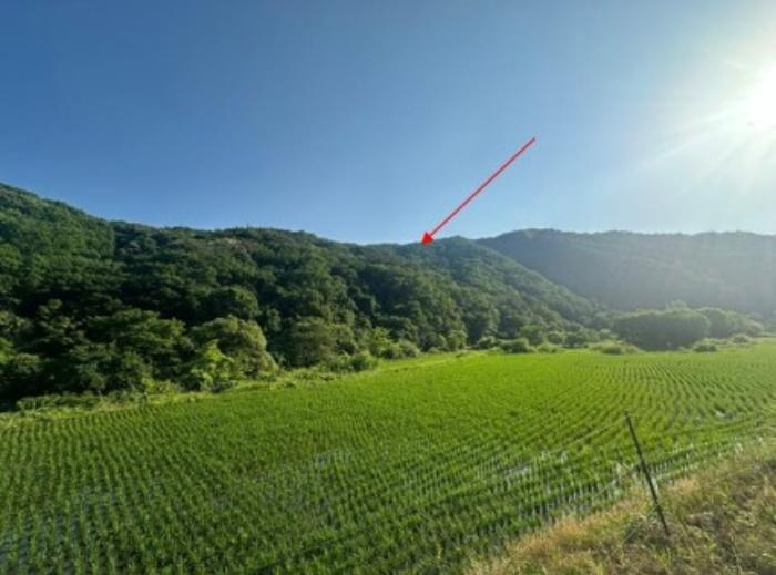 법원경매 2024타경35277 사진2 | 양평군 단월면 명성리 임야 경매