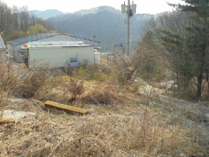 법원경매 2025타경1644 사진33 | 괴산군 소수면 길선리 42-5 창고 경매
