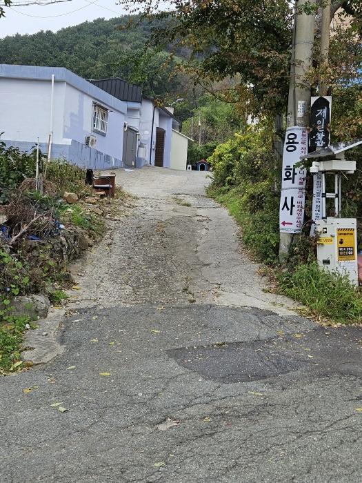 법원경매 2024타경4545 사진3 | 부산 사하구 구평동 산58-6 임야 경매