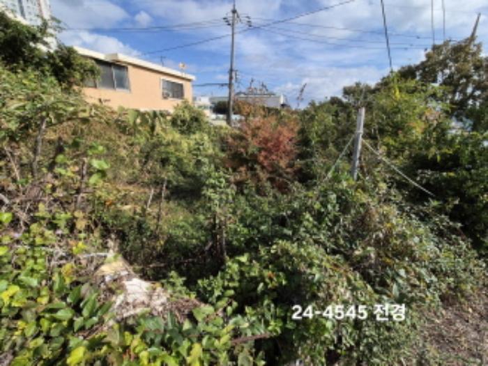법원경매 2024타경4545 사진7 | 부산 사하구 구평동 산58-6 임야 경매