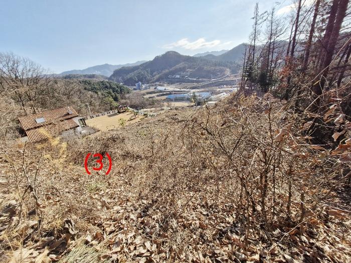 법원경매 2024타경86529 사진3 | 가평군 설악면 선촌리 122-13 임야 경매