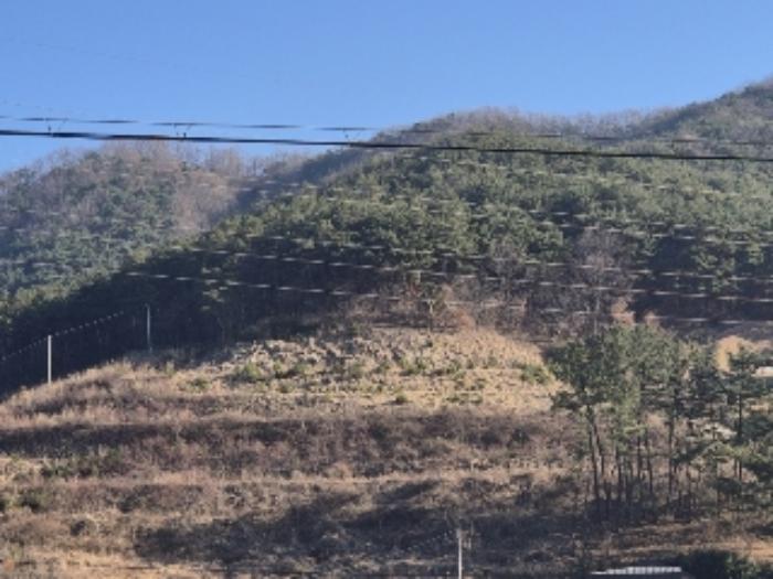 2024타경9233 법원경매 사진6 | 전남 화순군 임야 경매