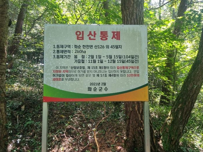 2024타경78772 법원경매 사진3 | 전남 화순군 임야 경매