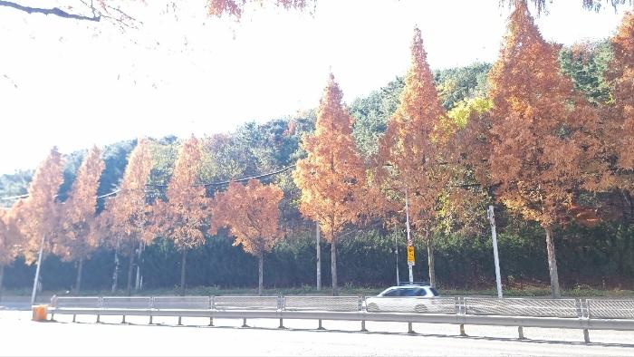 법원경매 2024타경3832 사진2 | 포항시 북구 우현동 임야 경매