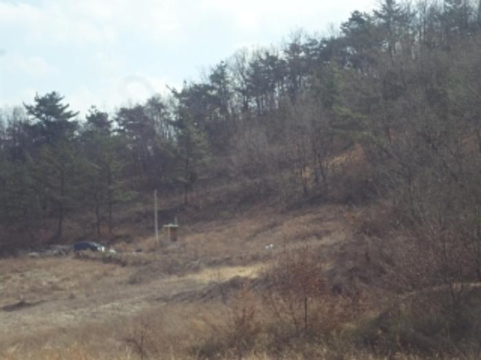 2023타경182 법원경매 사진9 | 경남 창녕군 전 경매
