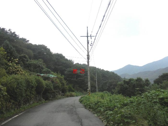 경상남도 밀양시 삼랑진읍 행곡리 산95-3 법원경매 물건 대표사진