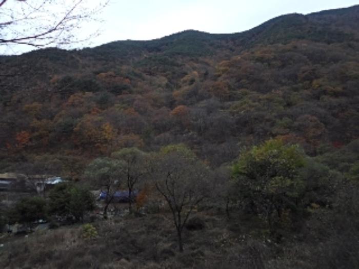 2024타경2581 법원경매 사진7 | 경남 밀양시 하천 경매