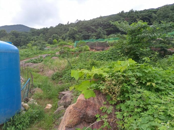 경남 창녕군 계성면 사리 108 전 사진 5