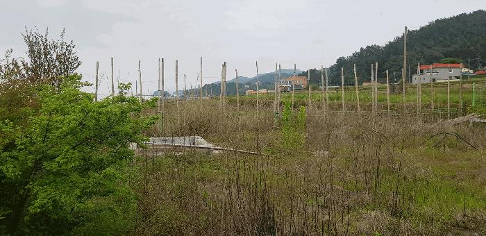 법원경매 2024타경2110 사진19 | 남해군 창선면 서대리 1209 다가구주택 경매