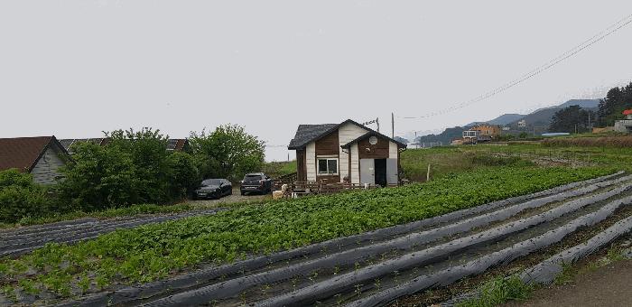 법원경매 2024타경2110 사진24 | 남해군 창선면 서대리 1209 다가구주택 경매