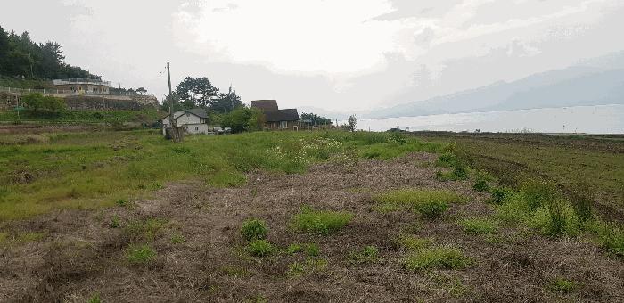 법원경매 2024타경2110 사진5 | 남해군 창선면 서대리 1209 다가구주택 경매