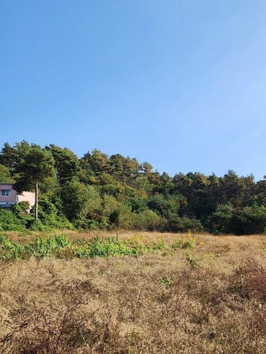 2024타경3264 법원경매 사진8 | 충북 충주시 대지 경매