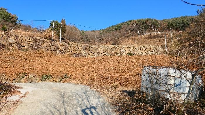 2024타경6815 법원경매 사진20 | 경남 하동군 임야 경매