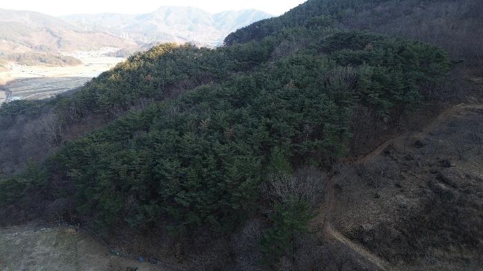 2024타경6815 법원경매 사진21 | 경남 하동군 임야 경매