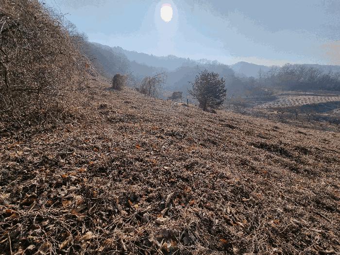 2025타경194 법원경매 사진2 | 충북 충주시 단독주택 경매