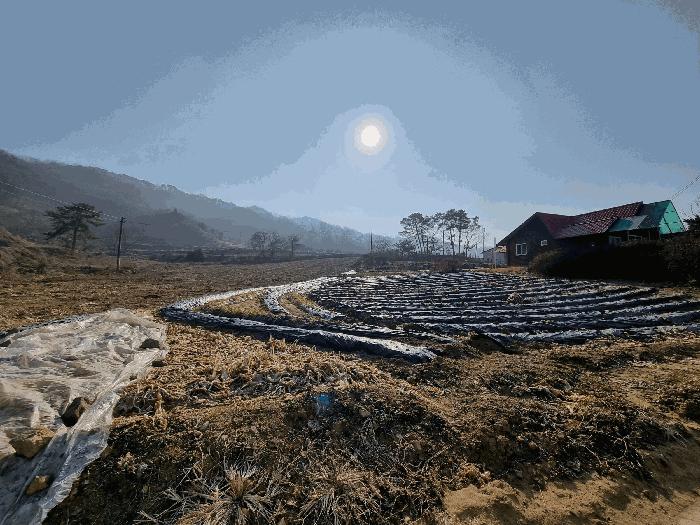 2025타경194 법원경매 사진3 | 충북 충주시 단독주택 경매