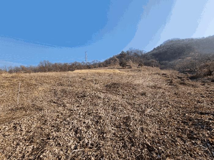2025타경194 법원경매 사진6 | 충북 충주시 단독주택 경매