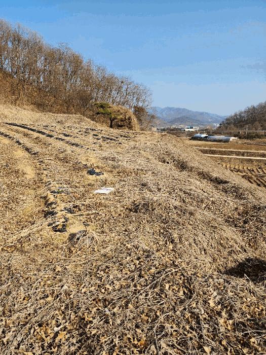 2025타경637 법원경매 사진7 | 충북 음성군 임야 경매