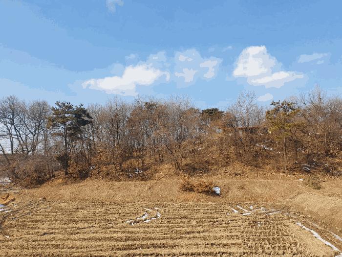 2025타경30356 법원경매 사진3 | 충북 음성군 임야 경매