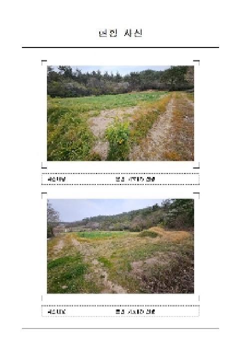 2025타경50991 법원경매 사진7 | 전남 신안군 전답 경매